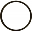o-ring-1wg