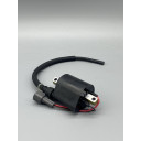 ignition-coil-assy