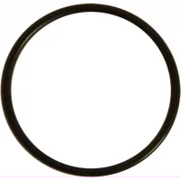 o-ring-1wg